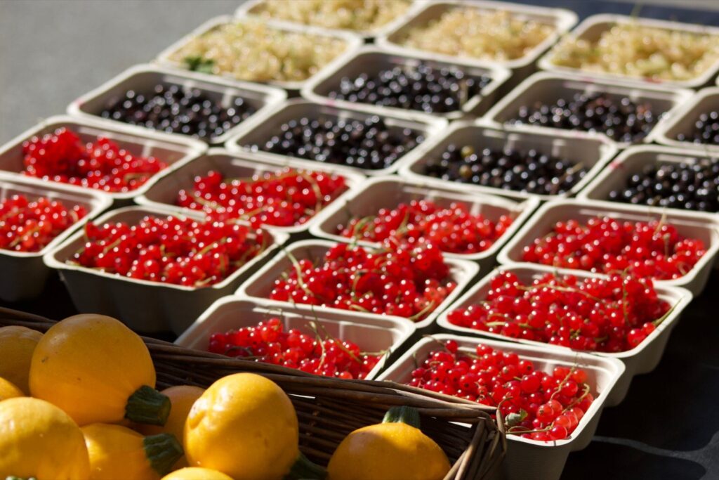 Abbotsford Farmers Market