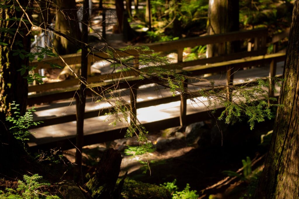 Cascade Falls