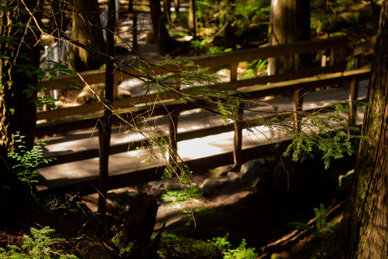 Cascade Falls